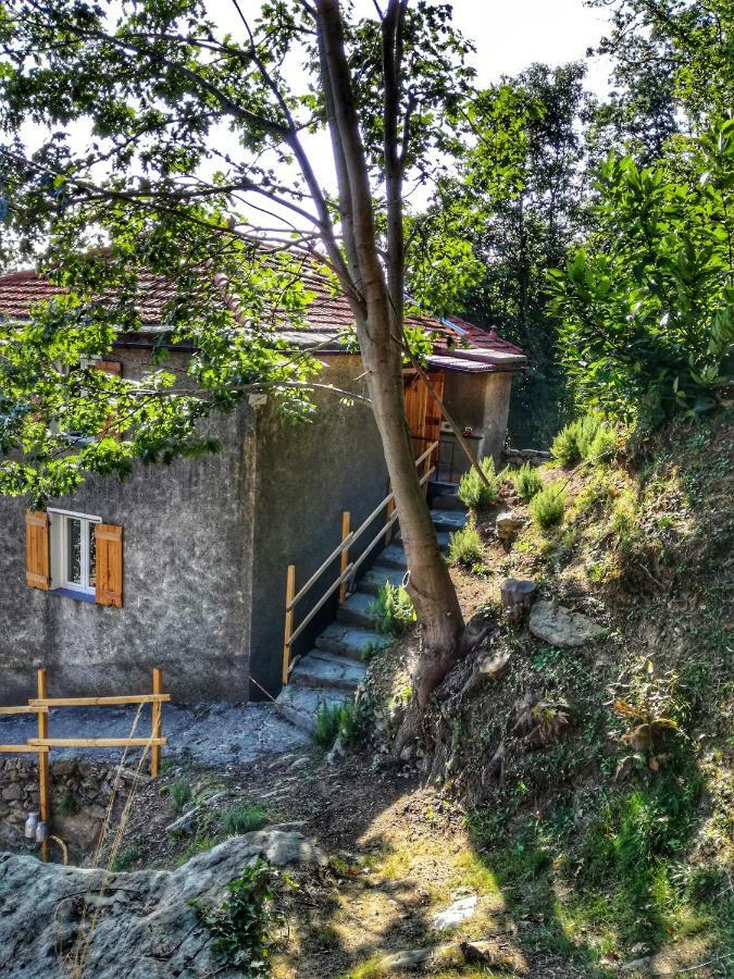 Berzuaia Bed & Breakfast Варацце Экстерьер фото