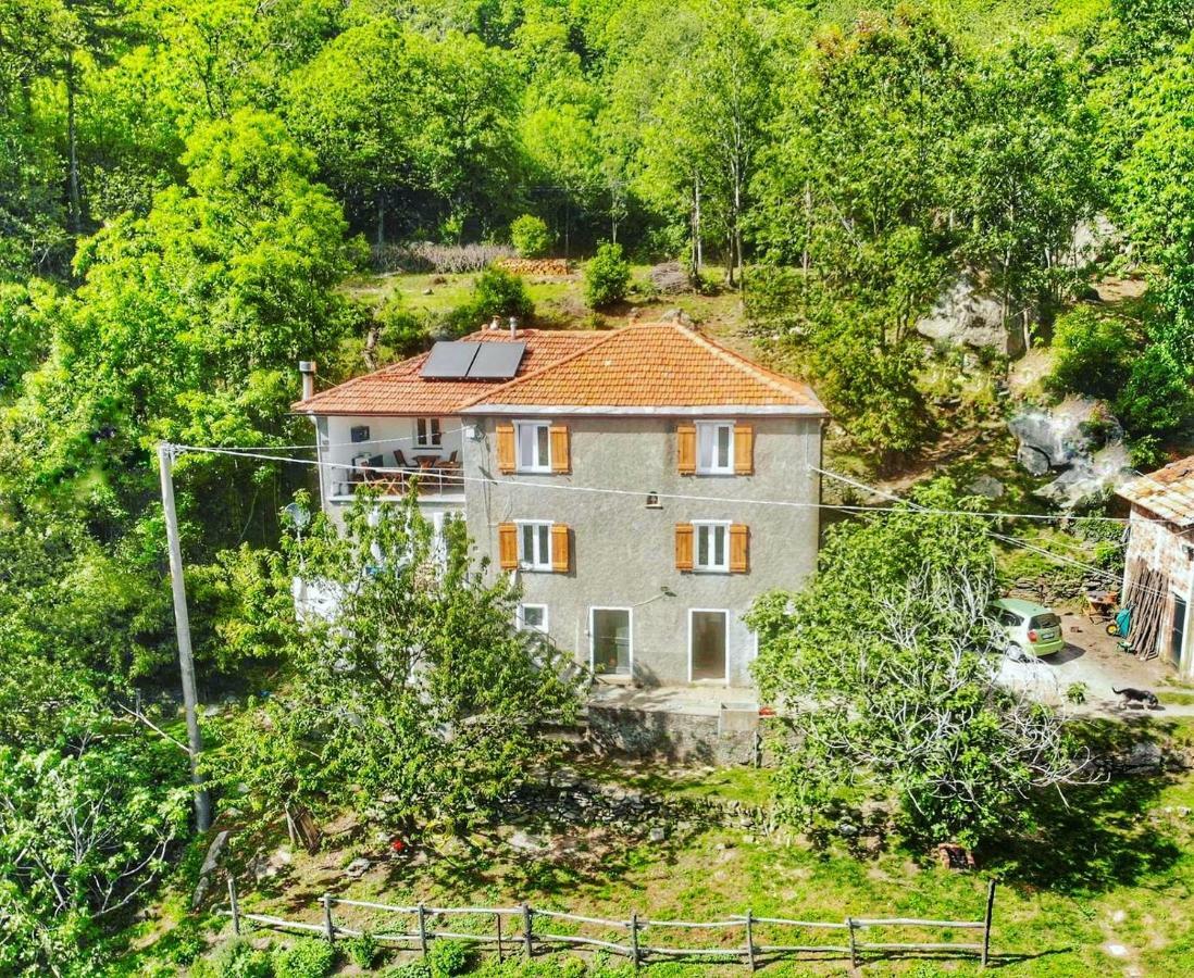 Berzuaia Bed & Breakfast Варацце Экстерьер фото