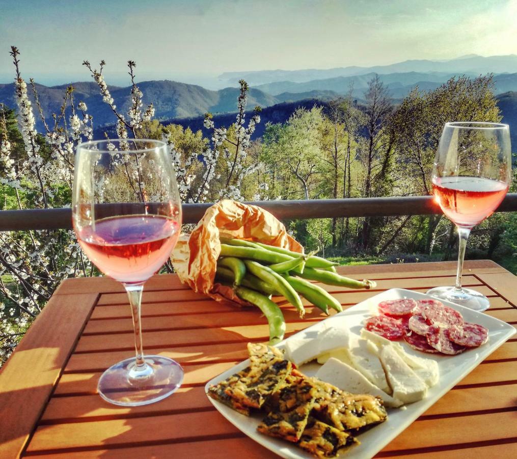 Berzuaia Bed & Breakfast Варацце Экстерьер фото